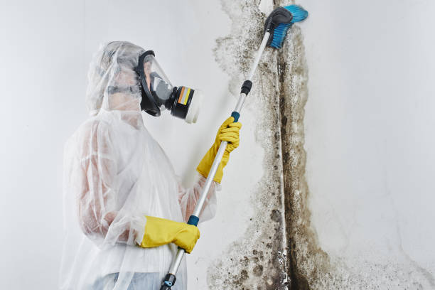 Water damage restoration experts